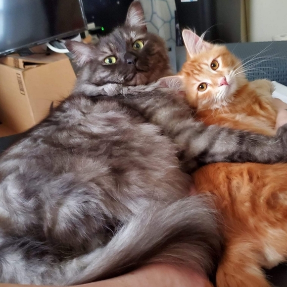 ॐ~Namaste~ॐ - Picture 3 of 4